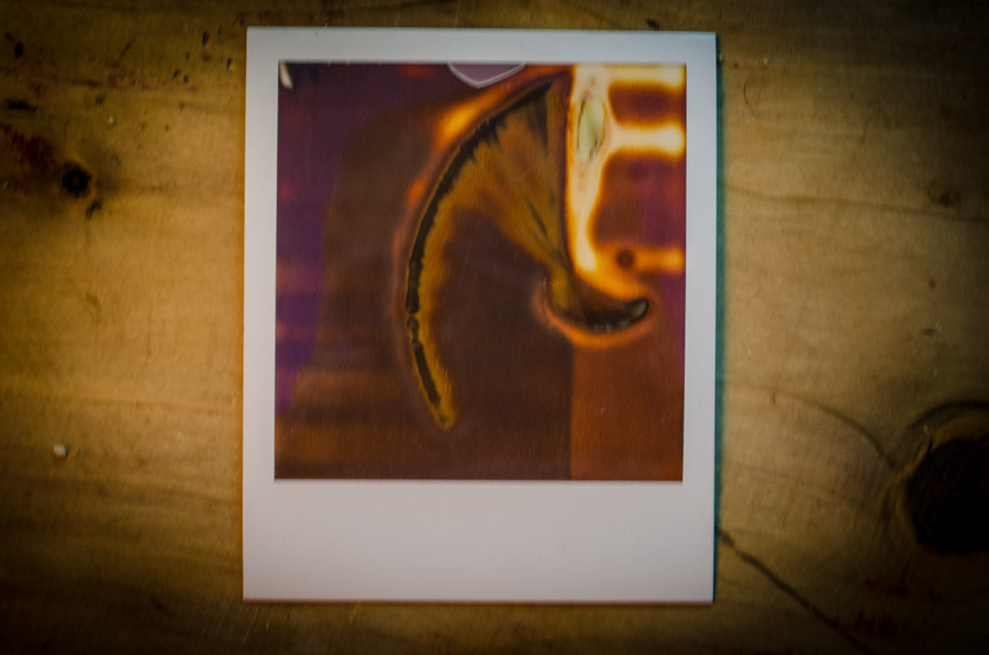 the bacon polaroids-0016