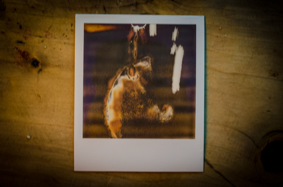 the bacon polaroids-0018